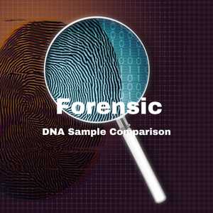 Forensic DNA sample comparison
