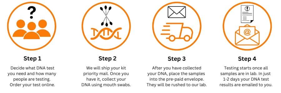 order an at home DNA kit from Journey Genetic Testing
