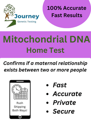 Mitochondrial DNA Test Kit