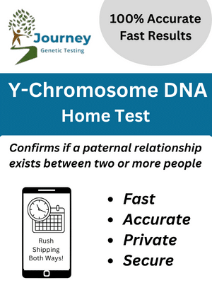 Y chromsome DNA test kit