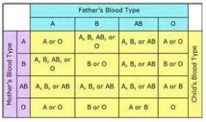 blood type paternity test