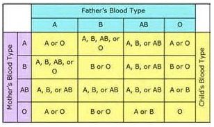 blood-type-paternity