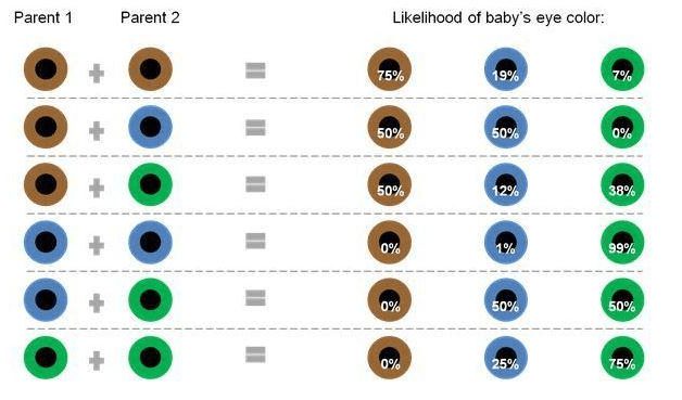 eye color paternity test